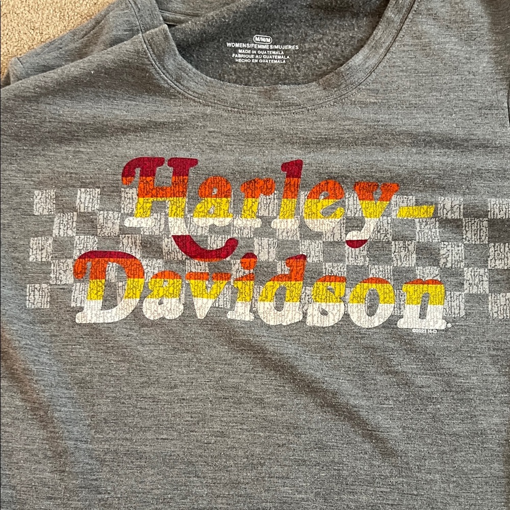 Harley-Davidson Gray Sweatshirt with Colorful Logo - Picture 3 of 4